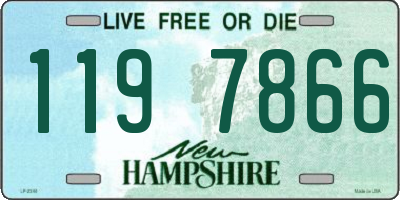 NH license plate 1197866