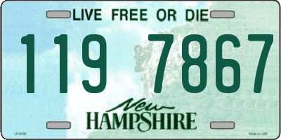 NH license plate 1197867