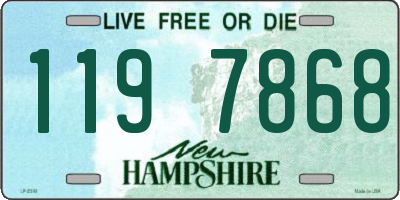 NH license plate 1197868