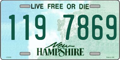 NH license plate 1197869