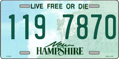 NH license plate 1197870