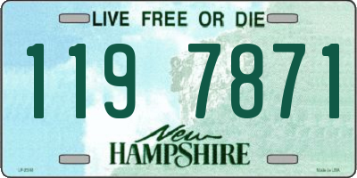 NH license plate 1197871