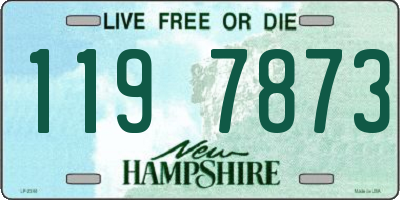 NH license plate 1197873