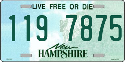 NH license plate 1197875