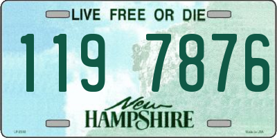 NH license plate 1197876