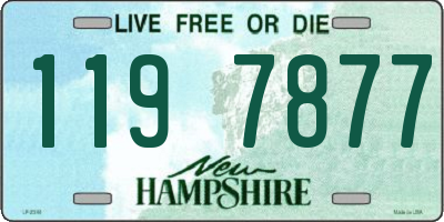 NH license plate 1197877