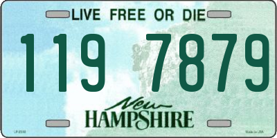 NH license plate 1197879