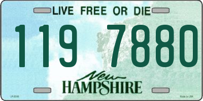 NH license plate 1197880