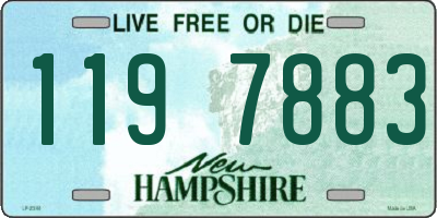 NH license plate 1197883