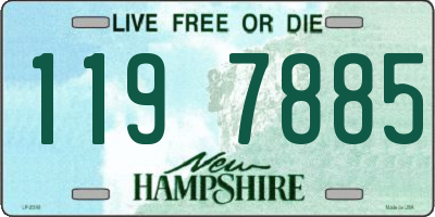 NH license plate 1197885