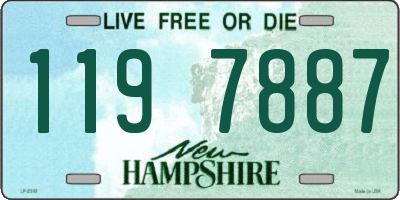 NH license plate 1197887