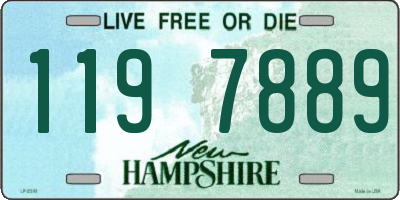NH license plate 1197889
