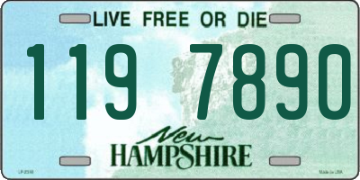 NH license plate 1197890