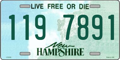 NH license plate 1197891