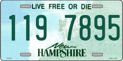 NH license plate 1197895