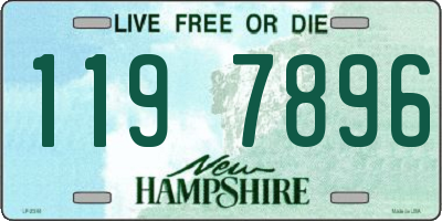 NH license plate 1197896