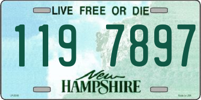 NH license plate 1197897