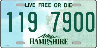 NH license plate 1197900
