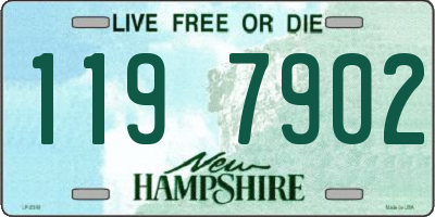 NH license plate 1197902