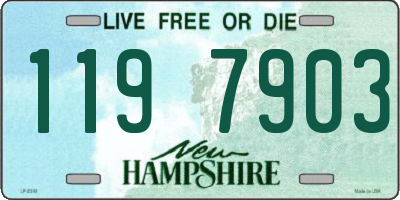 NH license plate 1197903
