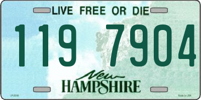 NH license plate 1197904