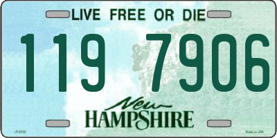 NH license plate 1197906