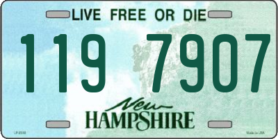 NH license plate 1197907