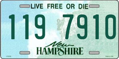 NH license plate 1197910