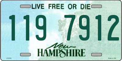 NH license plate 1197912