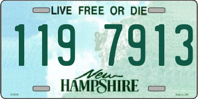 NH license plate 1197913