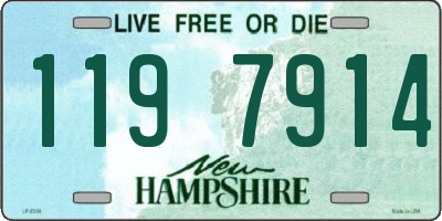 NH license plate 1197914