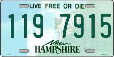 NH license plate 1197915