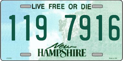 NH license plate 1197916