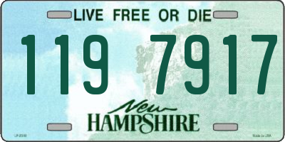 NH license plate 1197917
