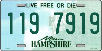 NH license plate 1197919