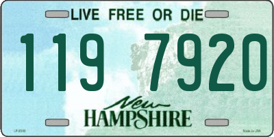 NH license plate 1197920