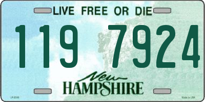 NH license plate 1197924