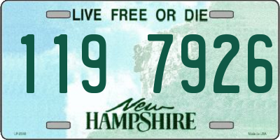 NH license plate 1197926