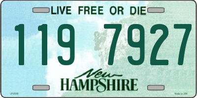 NH license plate 1197927