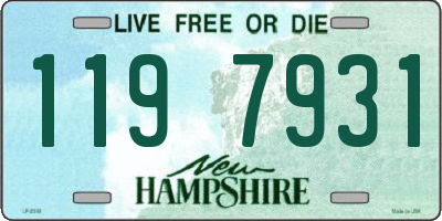 NH license plate 1197931