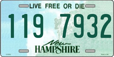 NH license plate 1197932