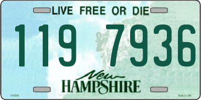 NH license plate 1197936