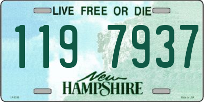 NH license plate 1197937