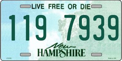 NH license plate 1197939