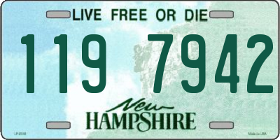 NH license plate 1197942