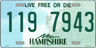NH license plate 1197943