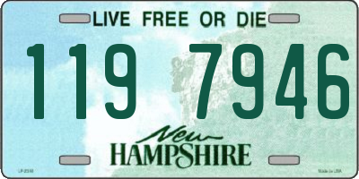 NH license plate 1197946