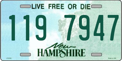 NH license plate 1197947