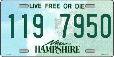 NH license plate 1197950