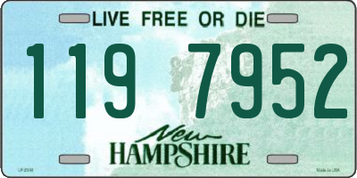 NH license plate 1197952